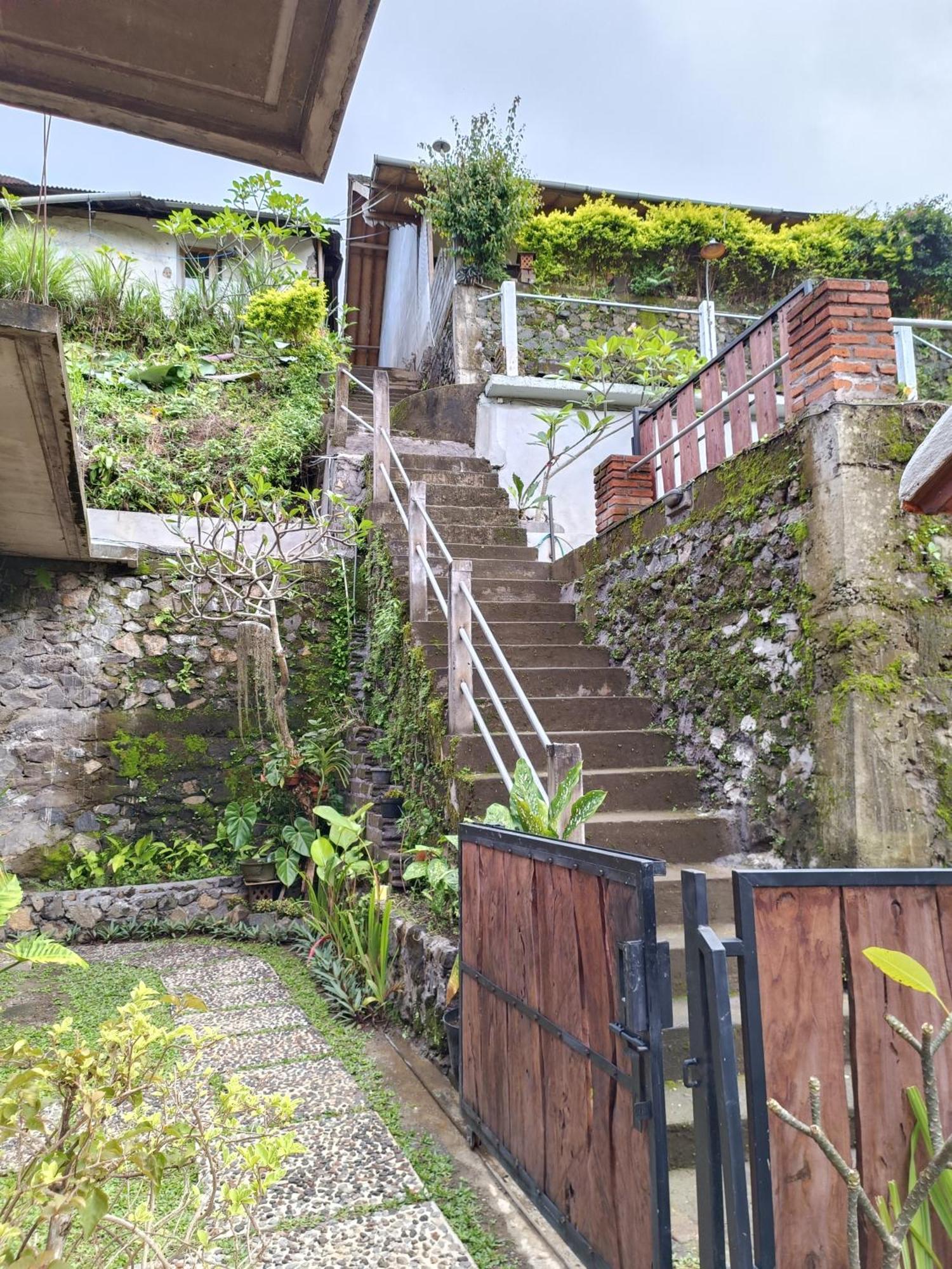 Munduk Made Oka Homestay And Warung מראה חיצוני תמונה