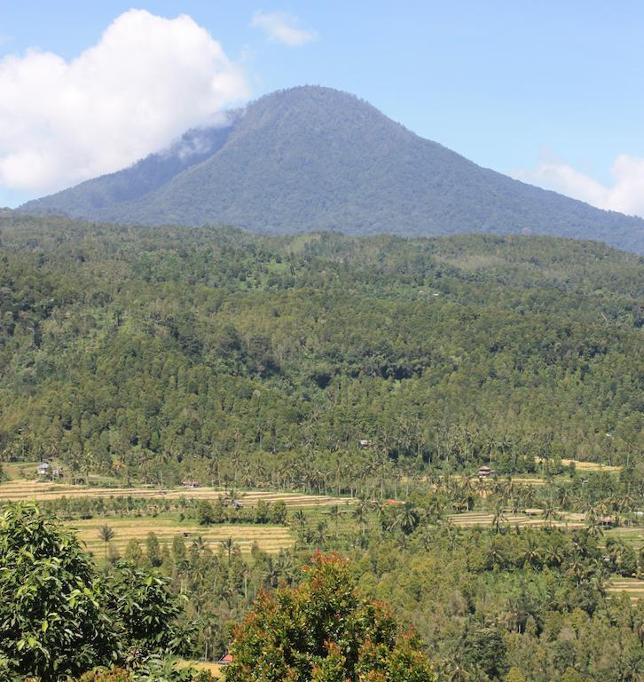 Munduk Made Oka Homestay And Warung מראה חיצוני תמונה